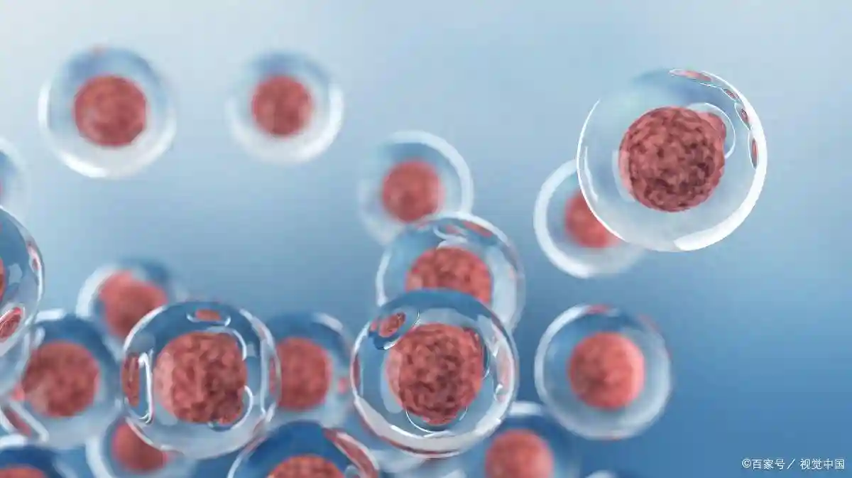 干细胞的分类与应用