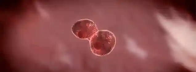 全球专利梳理：干细胞疗法，重症新冠肺炎患者的希望