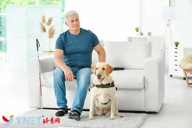 盲人福音！研究发现移植正常眼部干细胞可治疗失明