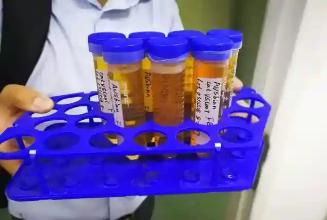 威正翔禹生物告诉你什么是质量好的胎牛血清