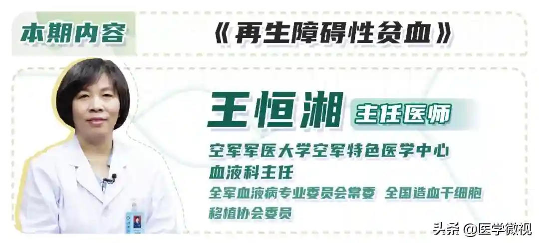 骨髓：不干了，毁灭吧