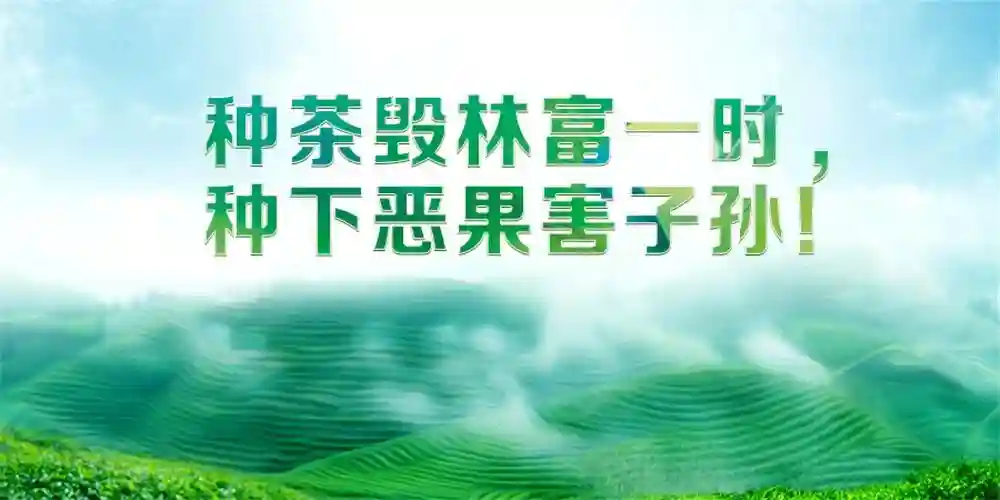 蒙自行政区划改革，你家属于哪个街道、社区？看完就知道