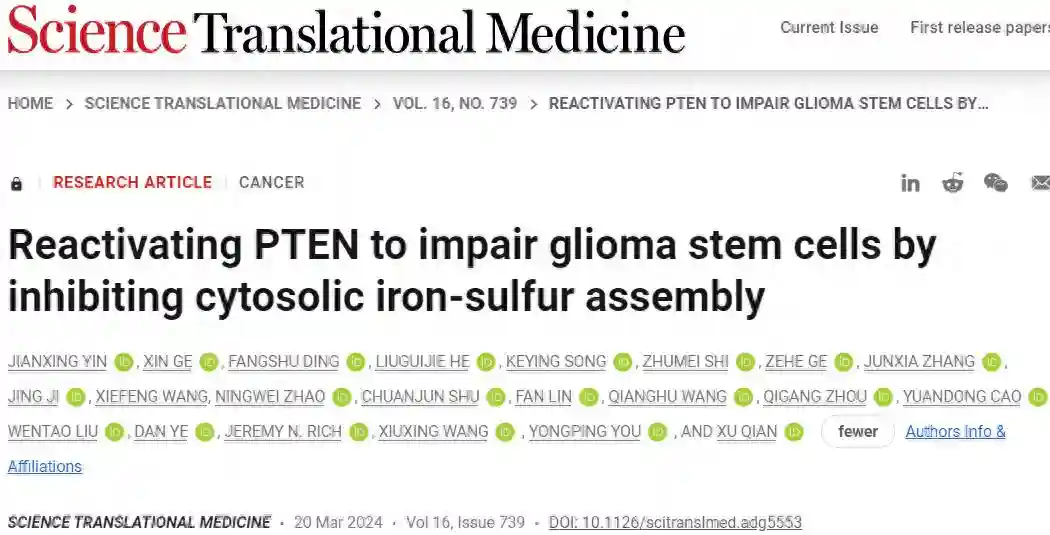 Sci Transl Med | 南京医科大学钱旭/尤永平/汪秀星揭示抑制胞质铁硫组装可重新激活PTEN损害胶质瘤干细胞
