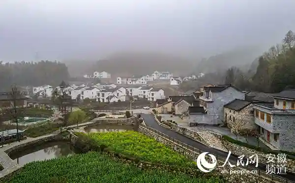 党建引领致富路 金融活水润大湾