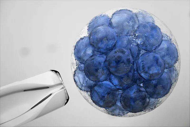 关注少数人的福祉从罕见病药减费降税开始