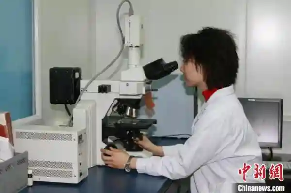 九三学社成都市委会副主委解慧琪：为提高中国再生医学科研水平奉献青春