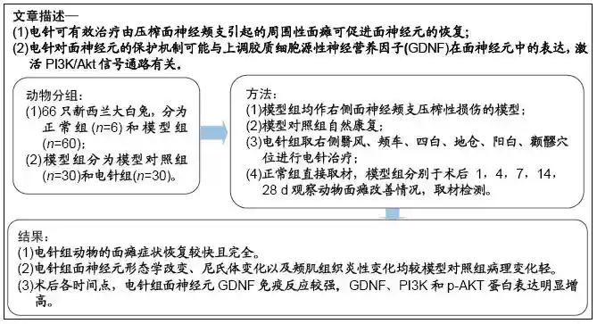 胶质细胞源性神经营养因子/PI3K/AKT通路参与电针促进面神经压榨损伤模型兔的面神经再生