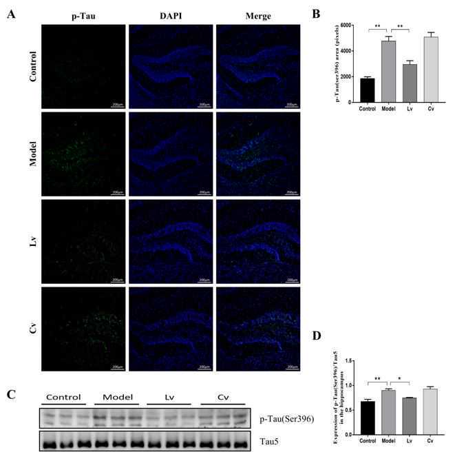 养肝就是养命！盘点3大「养肝食物」，吃对一个，肝脏也来感谢你