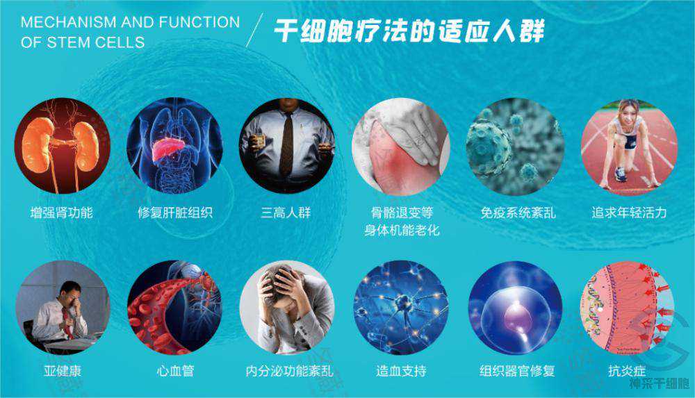 倪萍重回央视谈抗衰感言：“放弃形象是最大的过错”