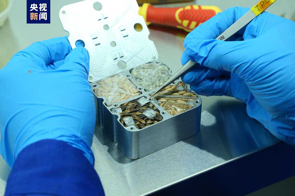 “扑朔迷离”的明星基因：“星星”相“吸”，“携手并进”