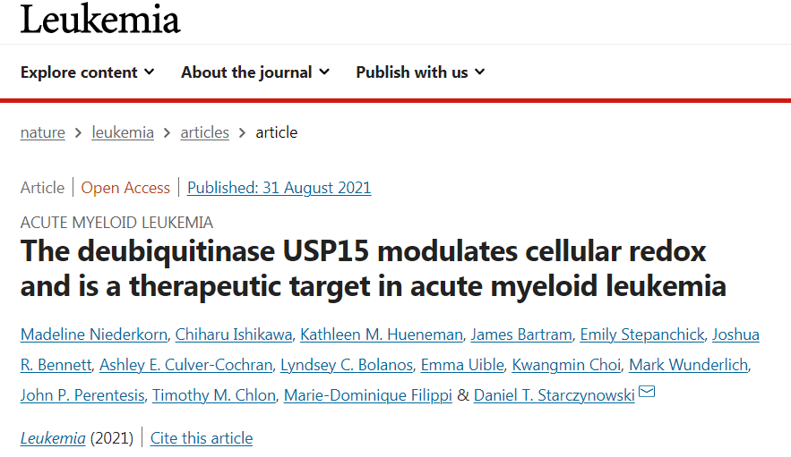 这群中国玩家，把《植物大战僵尸》玩成了一门学问
