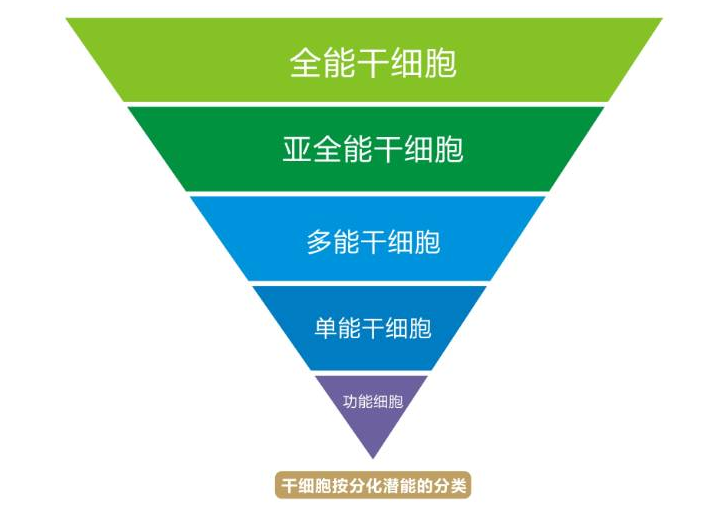 冰箱里的这些“宝贝”，或是白血病的源头，医生：能不吃就不吃