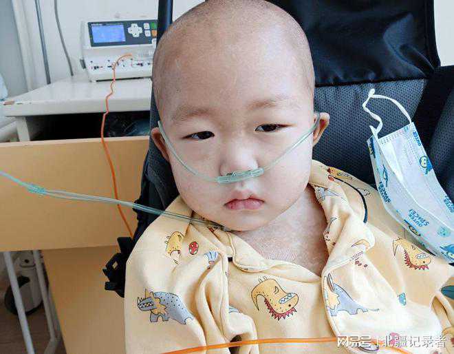 2020 年诺贝尔化学奖花落基因编辑技术！“基因剪刀”专利如何重写生命密码？