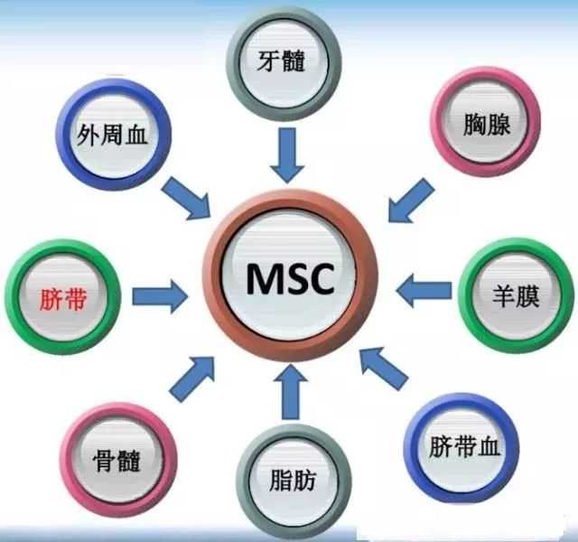 @汕大学子，快来一起捐献热血吧