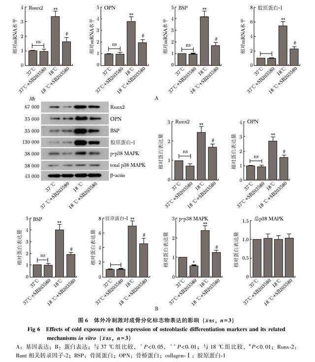 "海阳大哥"赴济捐献造血干细胞 捐献者系海阳首例