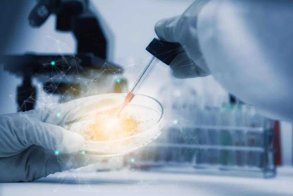 中国石油大学（北京）研究生捐献造血干细胞救人