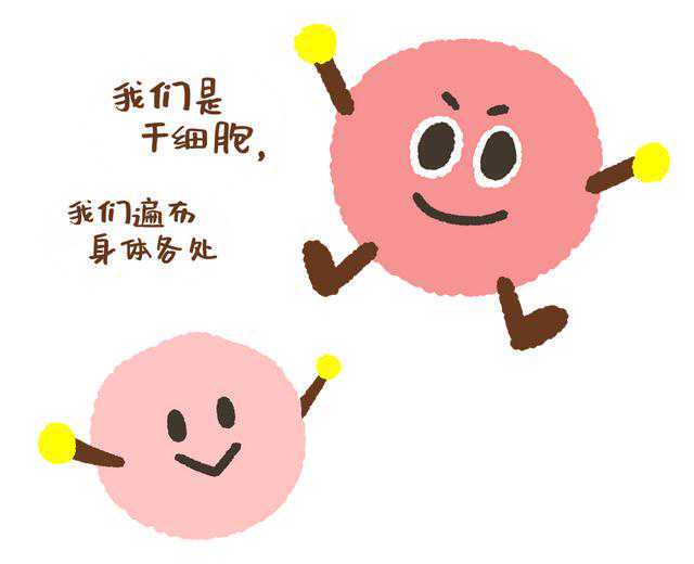 新研究说体细胞突变会加速衰老