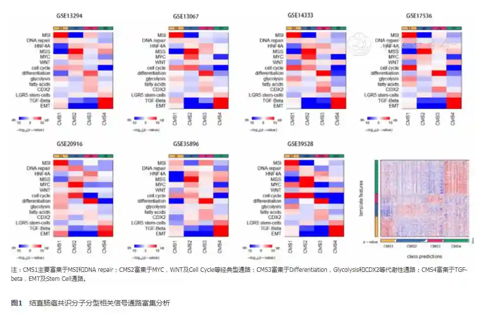 不同结直肠癌共识分子分型临床特点分析