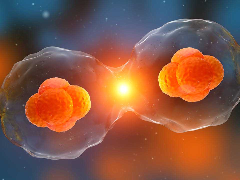 大抓经济 勇争一流 | 经开区：安然纳米获批省级工程研究中心