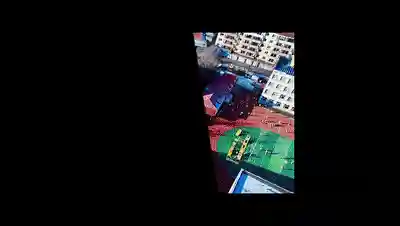 抚松旅游商品 | “参”觅大自然