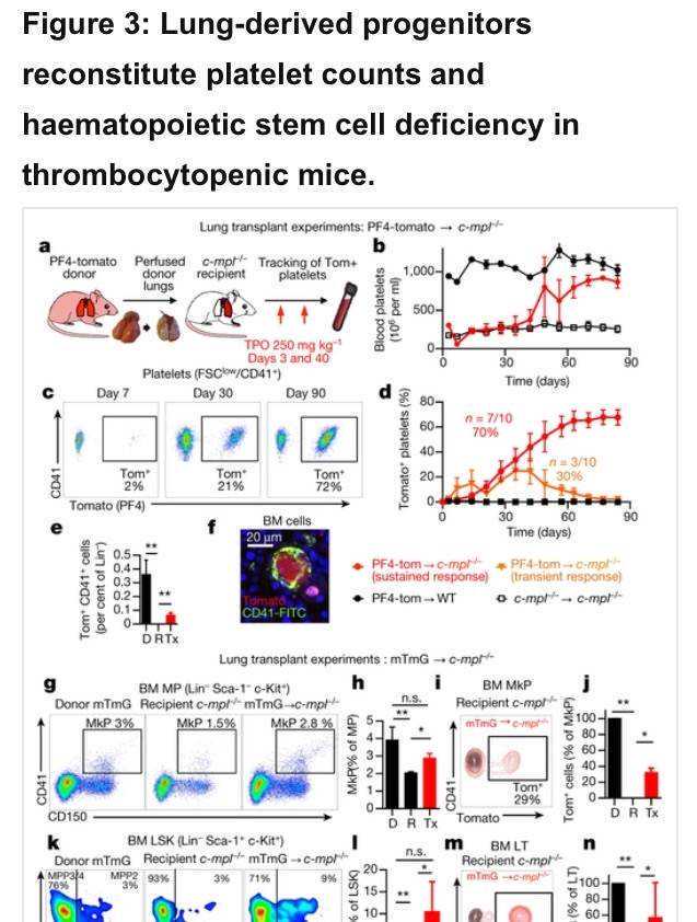 赛先生说 | 邓宏魁：让细胞“返老还童”