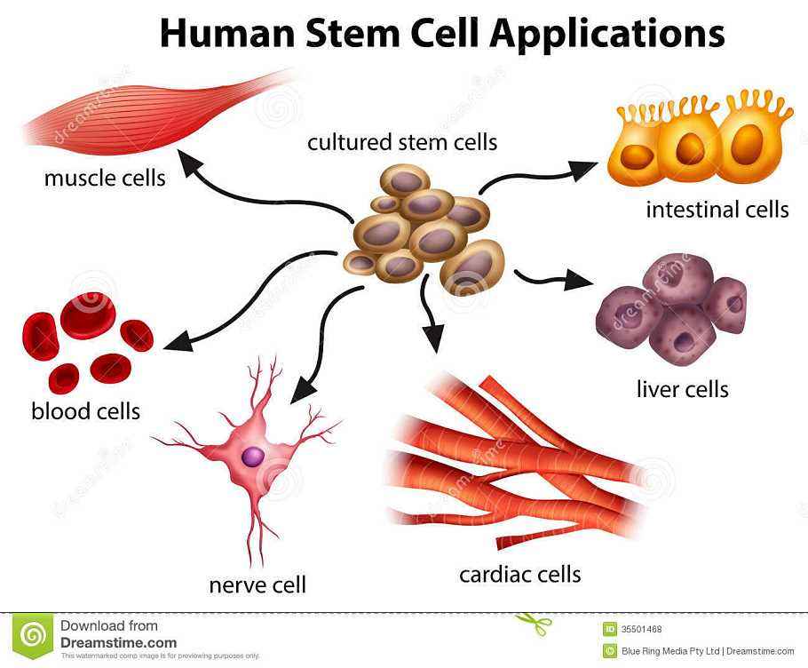 聚焦齐齐哈尔脱贫攻坚：黑龙江日报专版报道依安脱贫攻坚工作