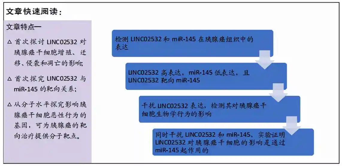 LINC02532靶向miR-145影响胰腺癌干细胞的增殖、迁移、侵袭和凋亡