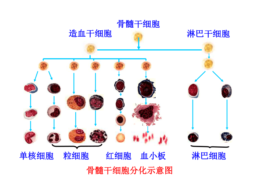 四川全面打赢脱贫攻坚战纪实