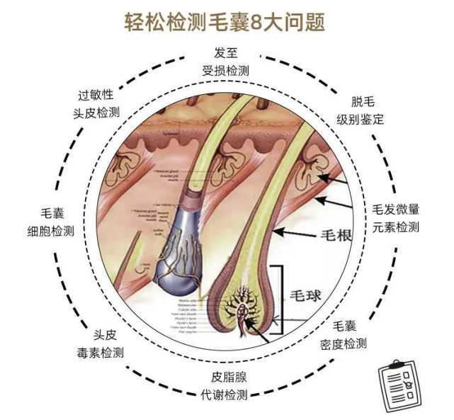 活体成像技术原理及应用概述