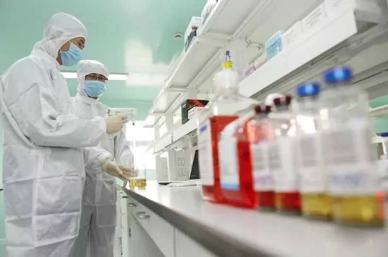 异基因造血干细胞移植是目前唯一可治愈原发骨髓纤维化的方法