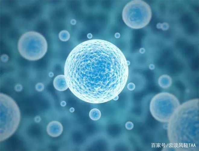 南华生物医疗护体仍中枪，时隔一年再戴帽