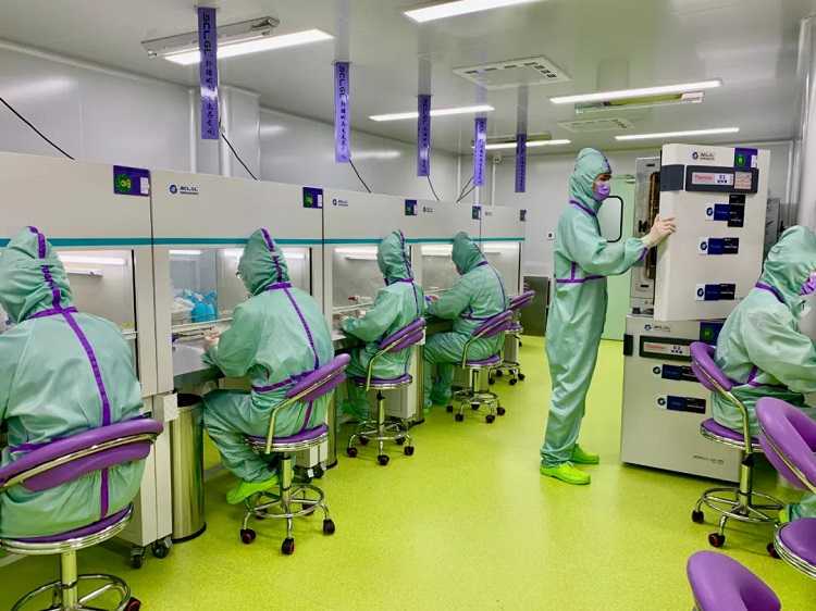 为什么干细胞价格这贵？制备成本是主因，还有一个问题必须解决