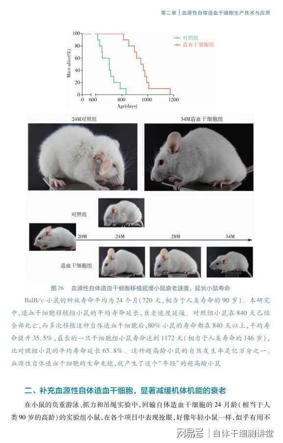 消费升级市场成“香饽饽”外资企业盼更多准入