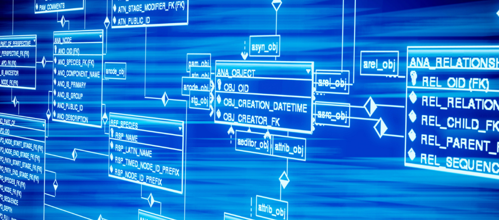 安徽省实施长江三角洲区域一体化发展规划纲要行动计划公布