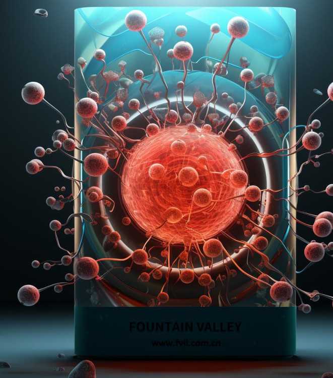 医生专访|史飞飞：自然为本艺术为辅，精雕轮廓打造独特自然之美