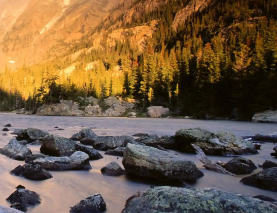 多个攻关项目上马 干细胞治疗新冠肺炎有何成效？